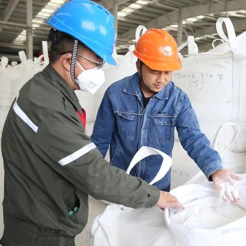 最新盐价走势分析