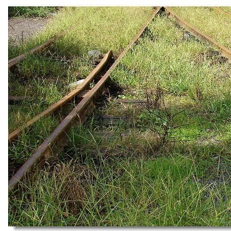 雨火车技术革新及未来展望动态更新