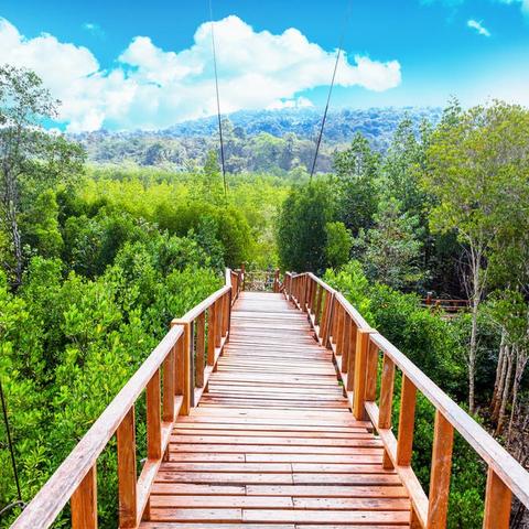 曼谷魅力探索，最新攻略畅游泰国之都