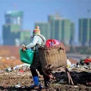 最新流行食品概览，数据预测未来趋势