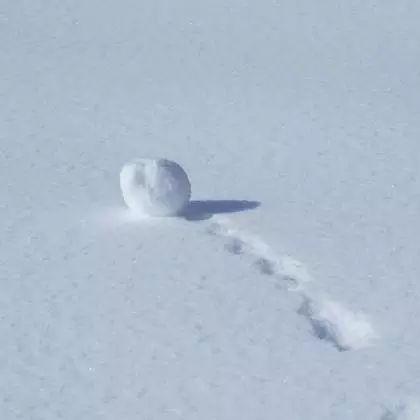 揭秘Nasty 8最新动态，数据真相大揭秘