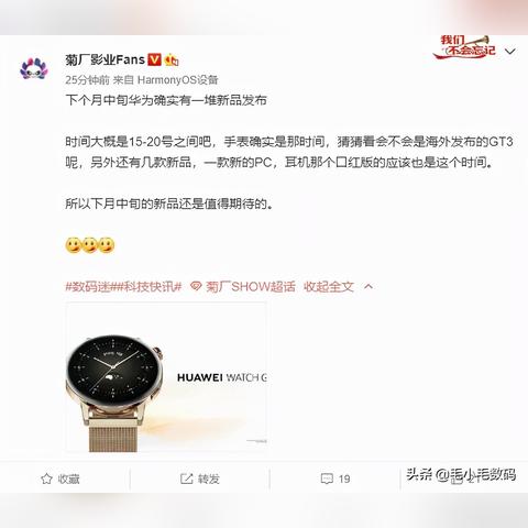 联想最新动态深度解析