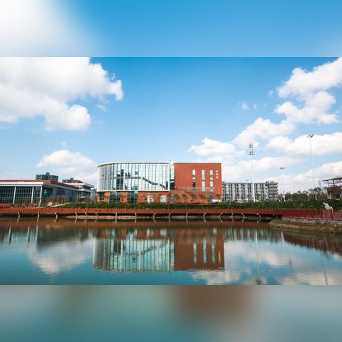 最新就业方向探索，未来职业热门领域路径