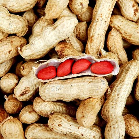 最新种植行业趋势解读报告