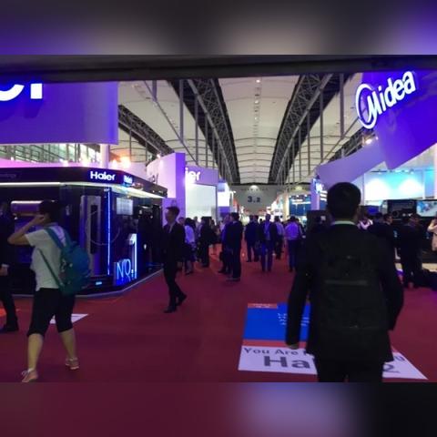 春兰最新图片大放送，展示细节与解析