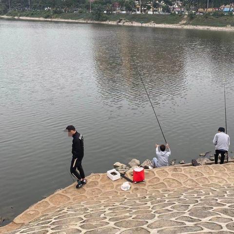 数字时代垂钓新法，揭秘最新钓鱼技巧