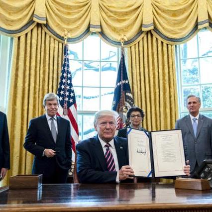 康纳视频数据分析报告，最新解读