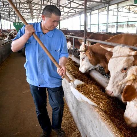 丙酮最新价格走势分析