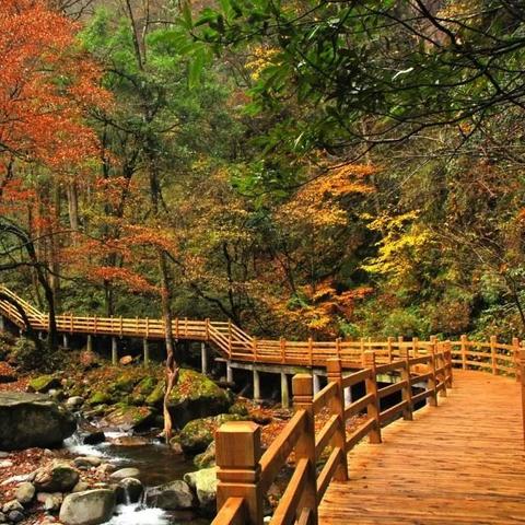 时空穿梭者的最新奇遇快穿小说