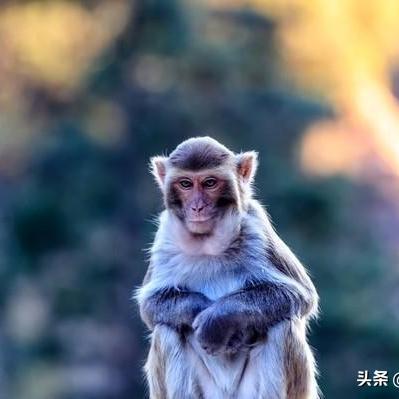 最新借贷平台引领金融行业未来力量重塑