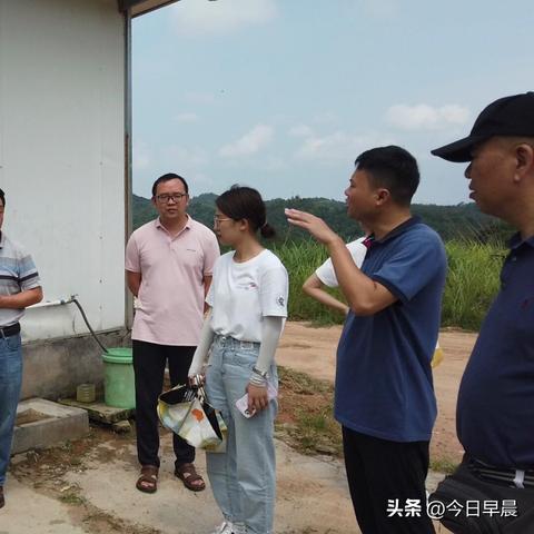 最新高效生态智能化养鸡模式