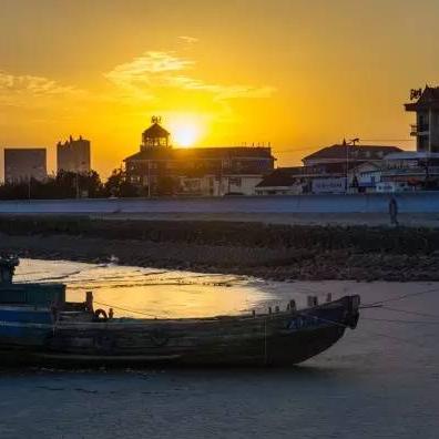 最新打鱼机器革新技术，引领渔业新时代发展