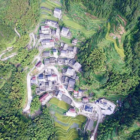 青田新闻速递，最新报道汇总