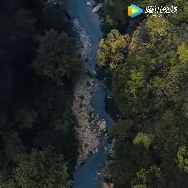 应对网络时代变迁，最新网址变更指南