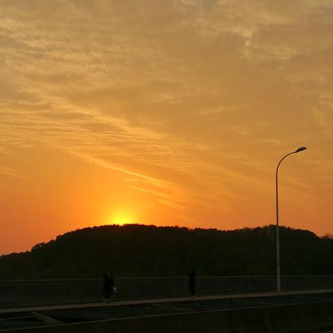 南湖大道规划详解，最新规划内容揭秘