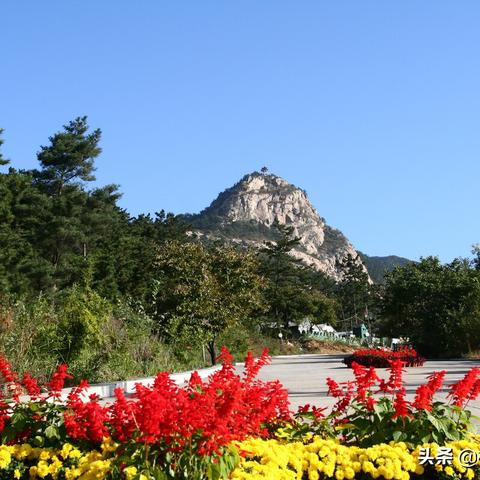 费县最新房价走势分析