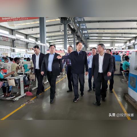 最新女鞋设计招聘，时尚创意人才招募启事