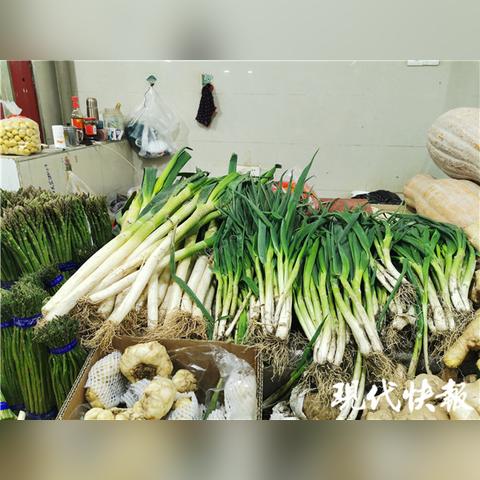 大葱最新价格走势及分析