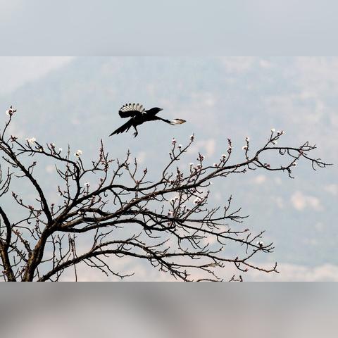 上蔡急招信息最新详解