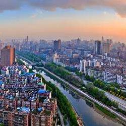 新田楼盘全面解析报告