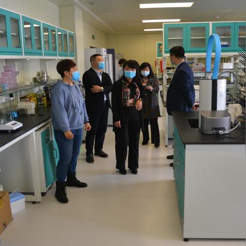 药品研发重大突破，创新药物进展显著新闻