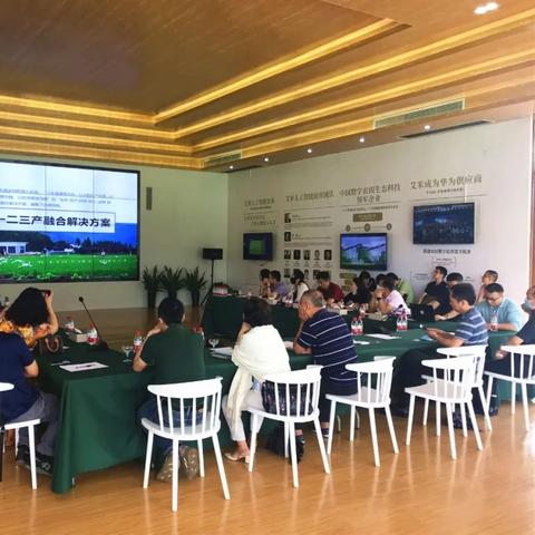 艾米最新小说，数字时代的爱情密码揭秘