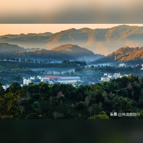 普洱最新房价走势分析与未来展望