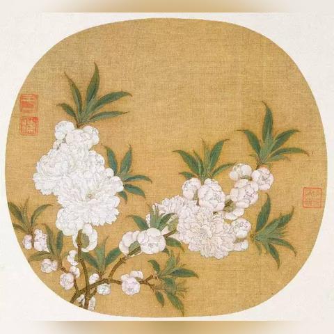 画鸟卷最新进展动态解析