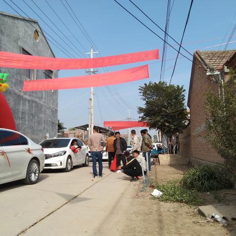 丰县洋葱最新价格走势分析