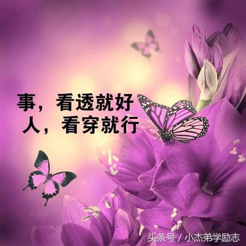 最新美文雅句与文章创作分享