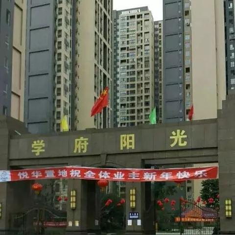 温江楼盘最新解析概览