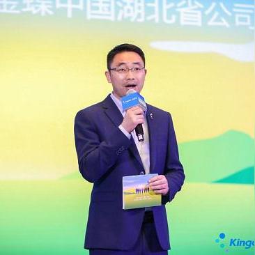 数字时代速度与变革，最新网页奇迹探索