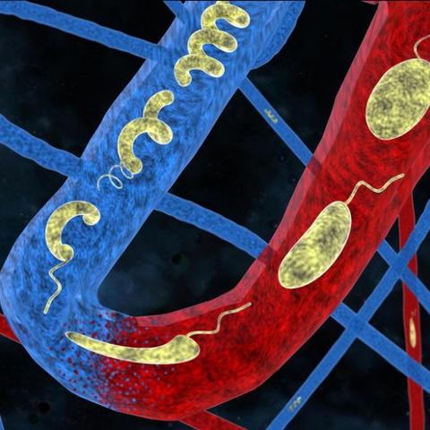 智能微型机器人系统，最新机械创新发明