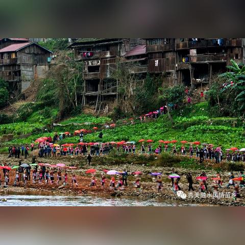 融水苗歌，传承经典，发扬新韵