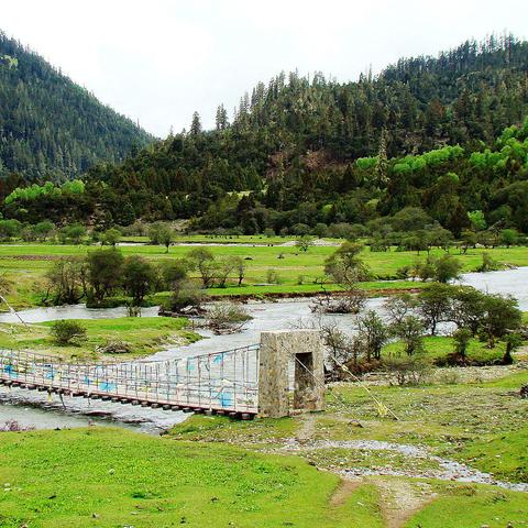 全球科技巨头推出新一代人工智能产品，掀起新一轮竞争浪潮