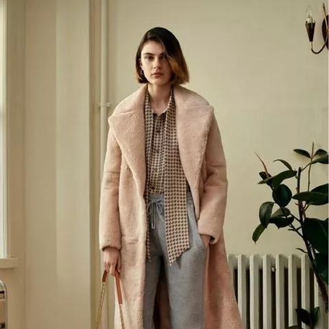 兰狐皮最新行情分析，价格走势概览