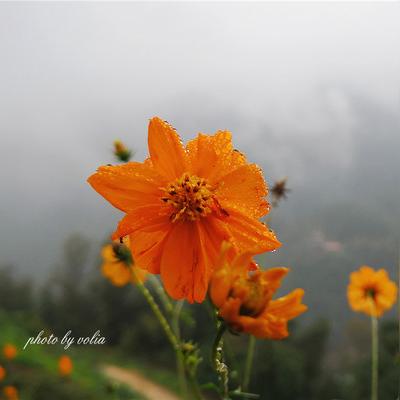 888最新真人网址全面解析，最新信息与特色解析