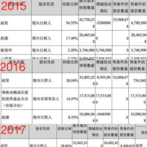 赵吉最新持股深度解析