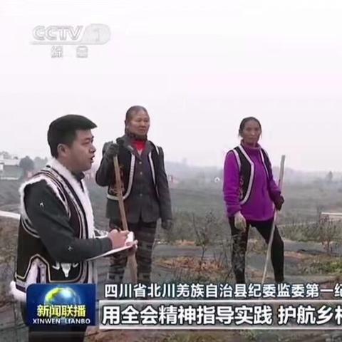 北川最新新闻动态报道速递