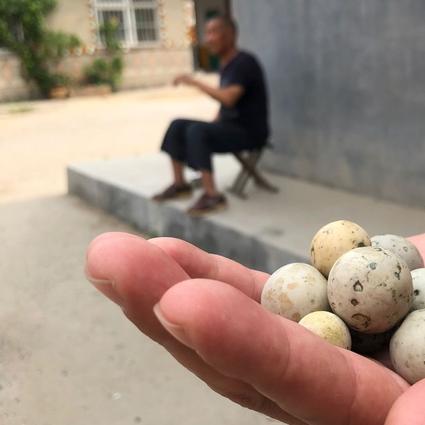 大规模陨石雨降临地球，科学家揭示潜在影响最新资讯