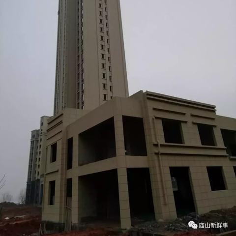 江夏最新楼盘全面解读专题报告