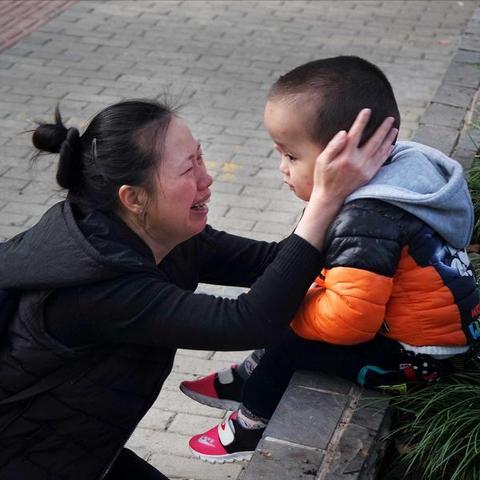 长寿租房最新信息全览