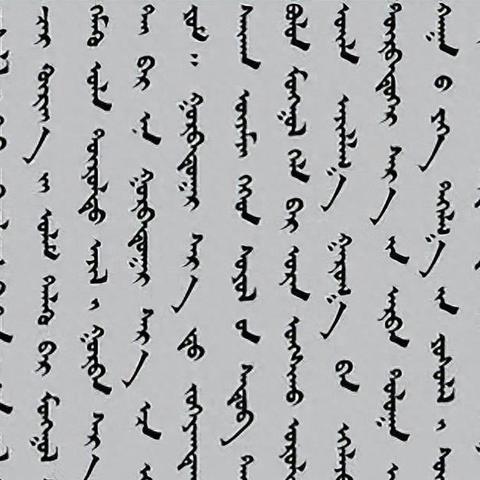 探索未来语言现象，另类词汇揭秘