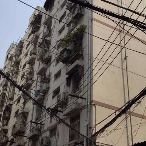 丹凤县最新房价走势分析